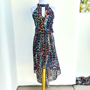 Multicolor Halter Neck Animal Print high low Dress